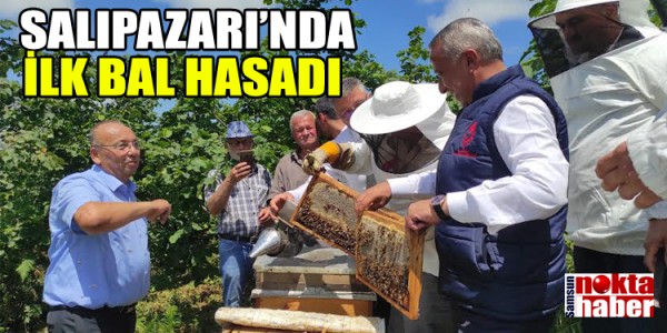 SALIPAZARI’NDA İLK BAL HASADI 