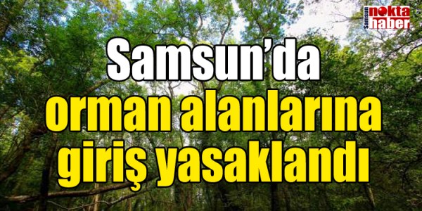 Samsun’da orman alanlarına giriş yasaklandı