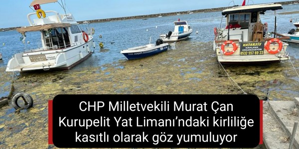CHP Milletvekili Murat Çan Kurupelit Yat Limanı’ndaki kirliliğe kasıtlı olarak göz yumuluyor
