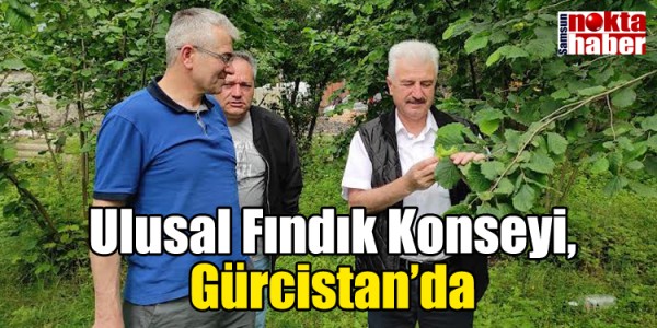Ulusal Fındık Konseyi, Gürcistan’da