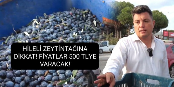 ZİRAAT MÜHENDİSİ MESUT ÖZMENAY UYARIYOR: HİLELİ ZEYTİNTAĞINA DİKKAT! FİYATLAR 500 TL'YE VARACAK!