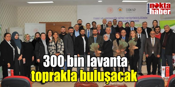 300 bin lavanta toprakla buluşacak 