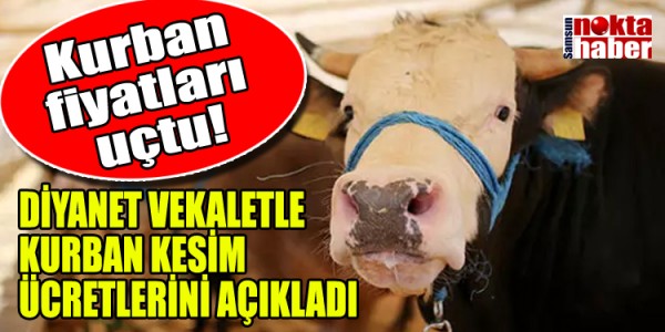 DİYANET VEKALETLE KURBAN KESİM ÜCRETLERİNİ AÇIKLADI