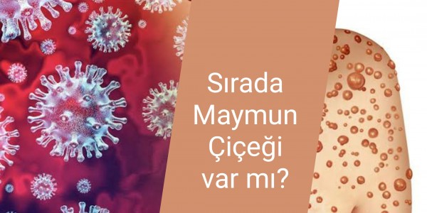 Sırada Maymun Çiçeği var mı?