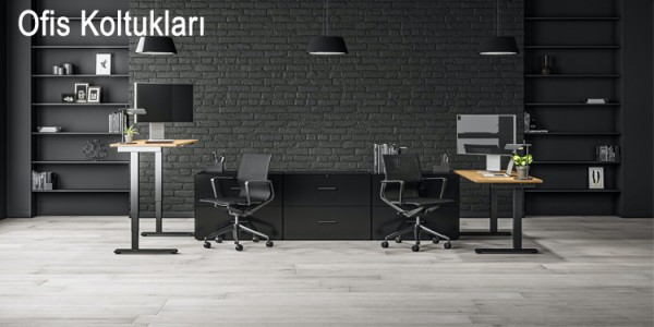 Ofis Koltukları