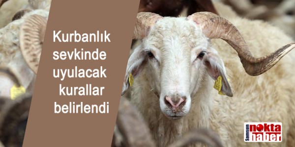 Kurbanlık sevkinde uyulaca kurallar belirlendi