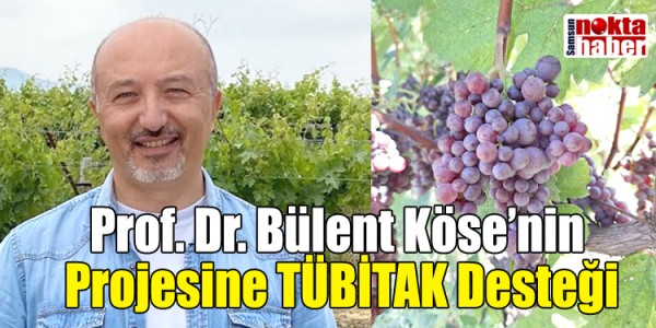 Prof. Dr. Bülent Köse’nin Projesine TÜBİTAK Desteği