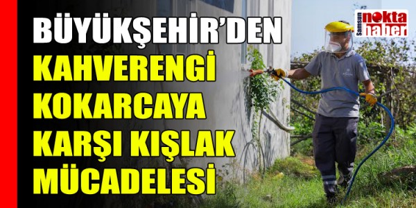BÜYÜKŞEHİR’DEN KAHVERENGİ KOKARCAYA KARŞI KIŞLAK MÜCADELESİ