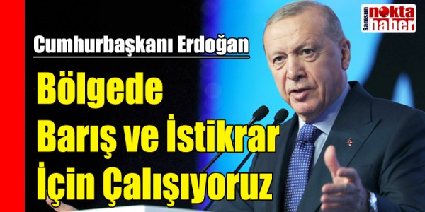 Cumhurbaşkanı Erdoğan Bölgede Barış ve İstikrar İçin Çalışıyoruz