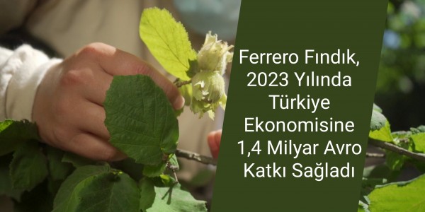 Ferrero Fındık, 2023 Yılında Türkiye Ekonomisine 1,4 Milyar Avro Katkı Sağladı